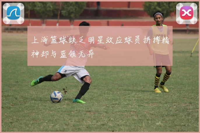 上海篮球缺乏明星效应球员拼搏精神却与蓝领无异